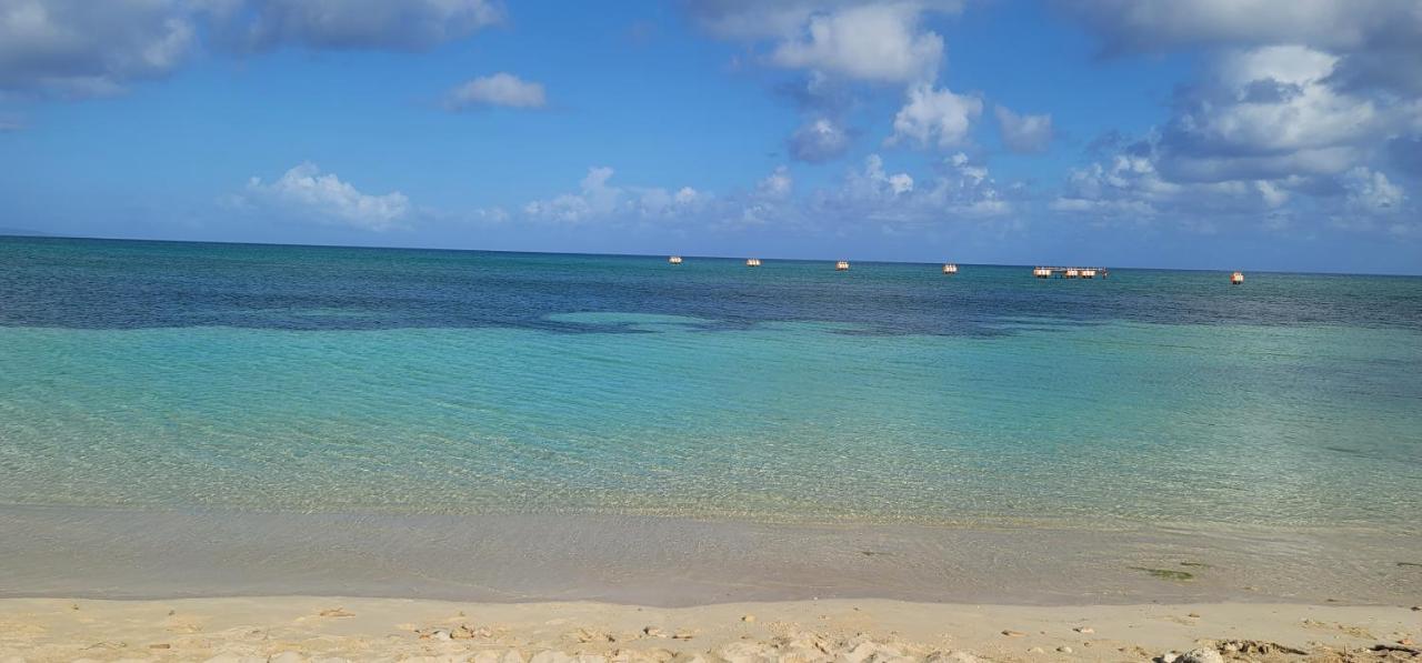 Airport Beach Hotel Montego Bay Eksteriør billede