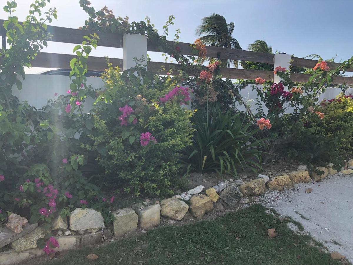 Airport Beach Hotel Montego Bay Eksteriør billede